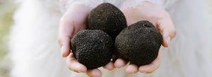 stonebarn truffle weddings