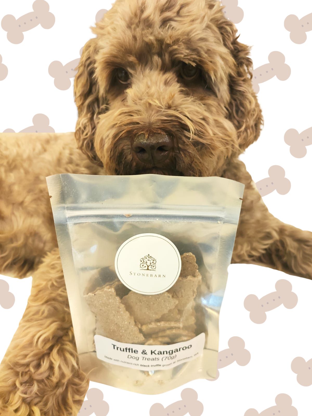 thumbnail image 2 of Truffle Dog Training Egg | Scent Training Ball For Dogs | Made In Italy 2 of 4